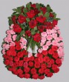 /album/coronas-de-flores/corona-2-jpg/